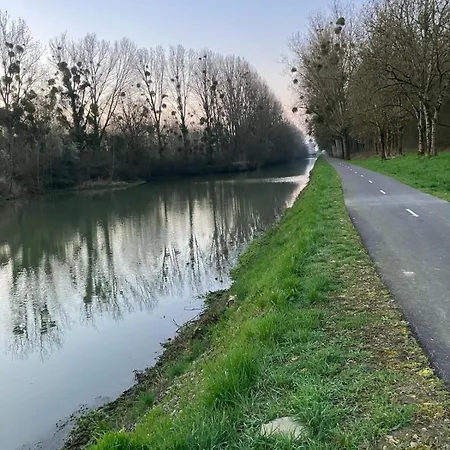 Du Panier Au *